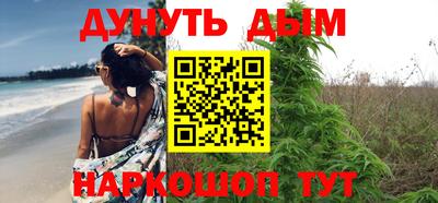 сатива Малгобек