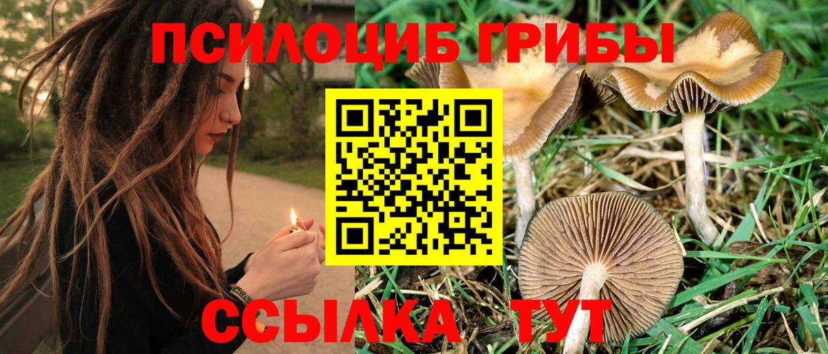 Псилоцибиновые грибы Cubensis Якутск