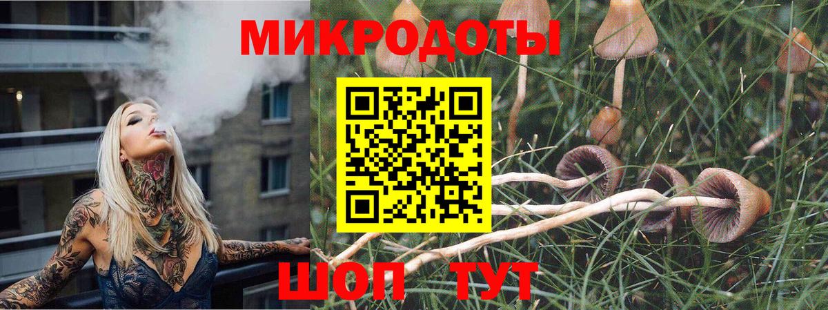 Якутск  Псилоцибиновые грибы мицелий  Вход с VPN 